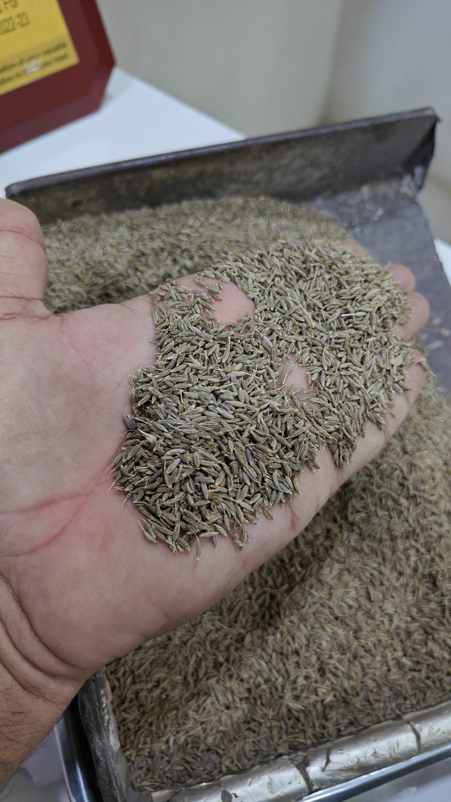 Cumin Seeds